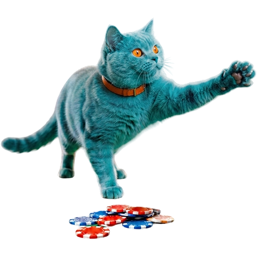 лайв казино CatBet